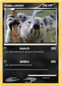 koala