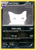 Flash banger