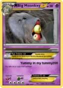 Big Moonkey
