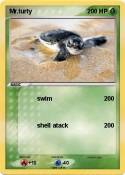 Mr.turty