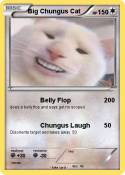 Big Chungus Cat Big Chungus Cat