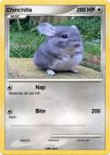 Chinchilla Chinchilla