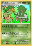 the turtwig