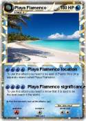 Playa Flamenco