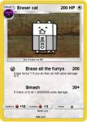 Eraser cat