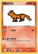 Saffron Pup