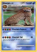 Cheetah Cheetah
