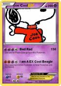 Joe Cool