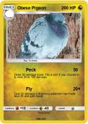 Obese Pigeon