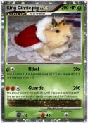 King Ginnie pig