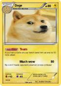 Doge