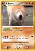 Drill Shibe