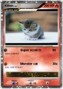 Kitten