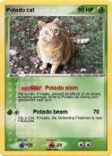 Potado cat