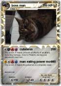 boss man