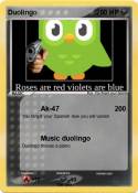 Duolingo