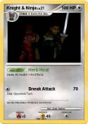 Knight & Ninja