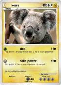 koala