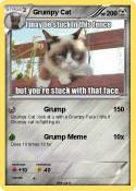 Grumpy Cat