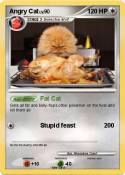 Angry Cat