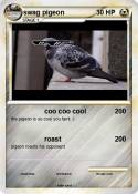 swag pigeon