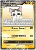 Keyboard cat