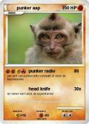 punker aap