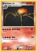 Arachnus