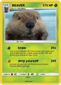 BEAVER