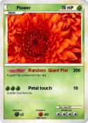Flower