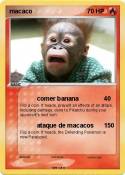 macaco
