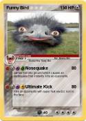 Funny Bird