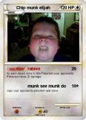 Chip munk