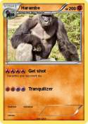 Harambe