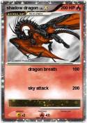 shadow dragon