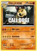 CALL of DOGE