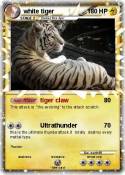 white tiger