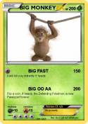 BIG MONKEY