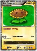 Sun Flower