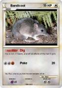 Bandicoot