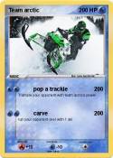 Team arctic