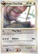 Angel (Tiny