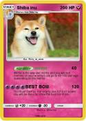 Shiba inu