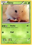 hammy