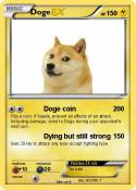 Doge