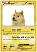 Doge