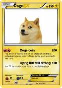 Doge