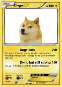Doge