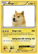Doge