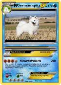 German spitz